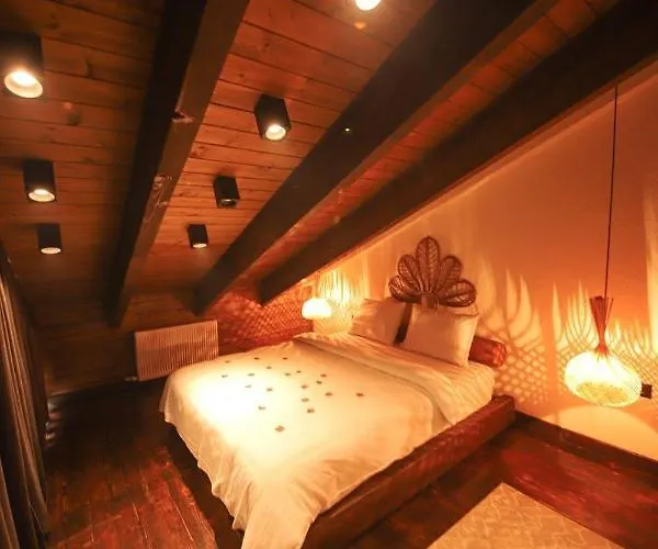 Backyard ספנג'ה