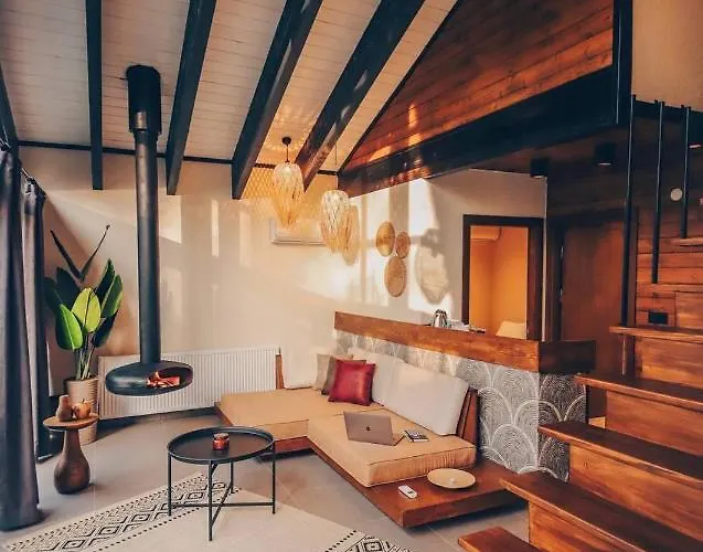 Backyard ספנג'ה