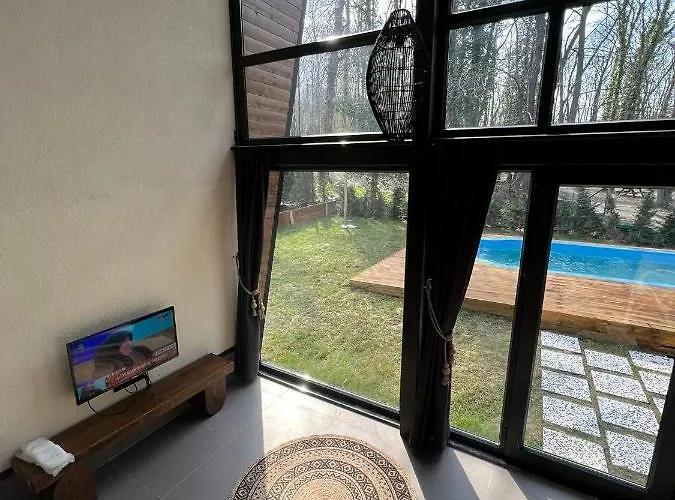 Backyard * ספנג'ה