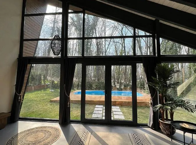 Backyard * ספנג'ה