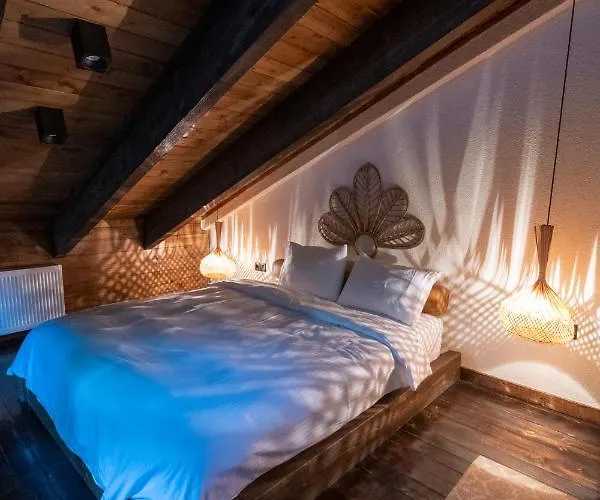 Backyard * ספנג'ה