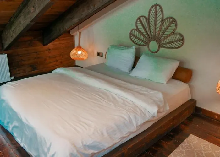 Backyard * ספנג'ה