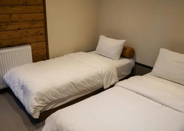 Backyard * ספנג'ה