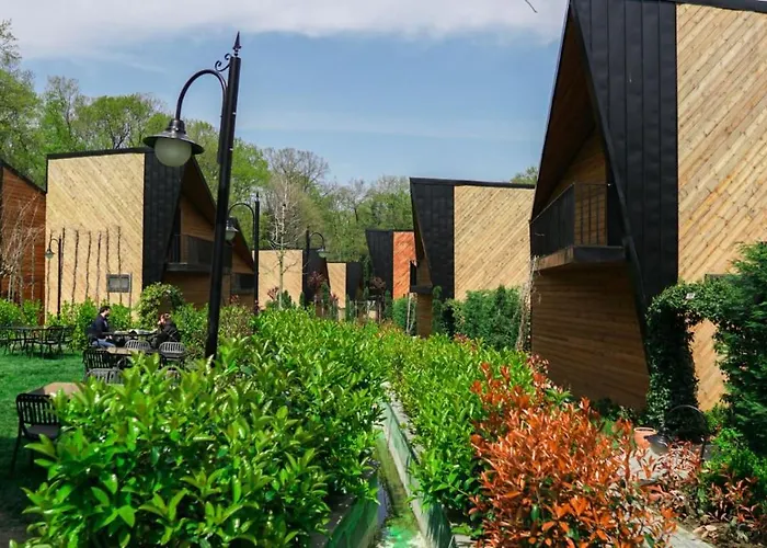 Backyard מלון ספנג'ה