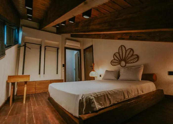 Backyard ספנג'ה