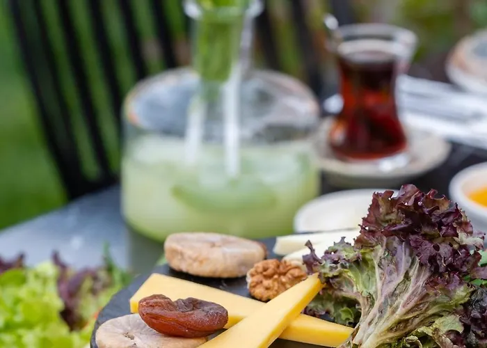 Backyard * ספנג'ה