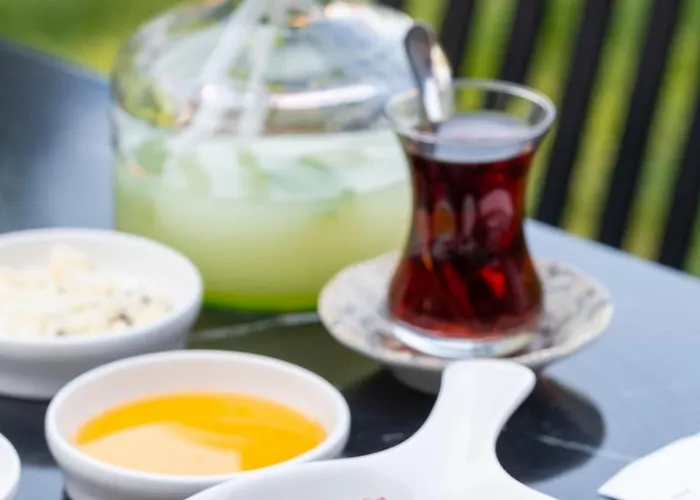 Backyard מלון ספנג'ה