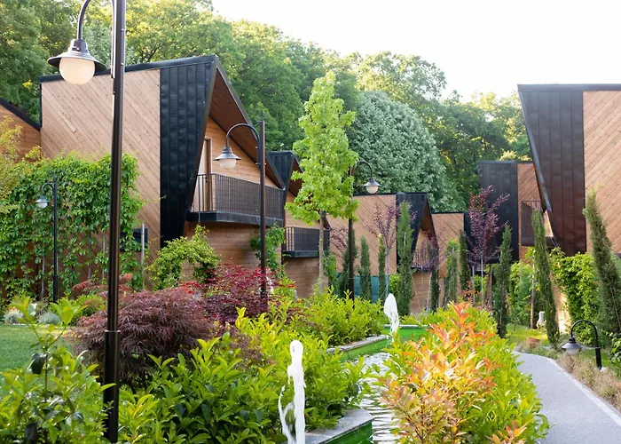 Backyard מלון ספנג'ה