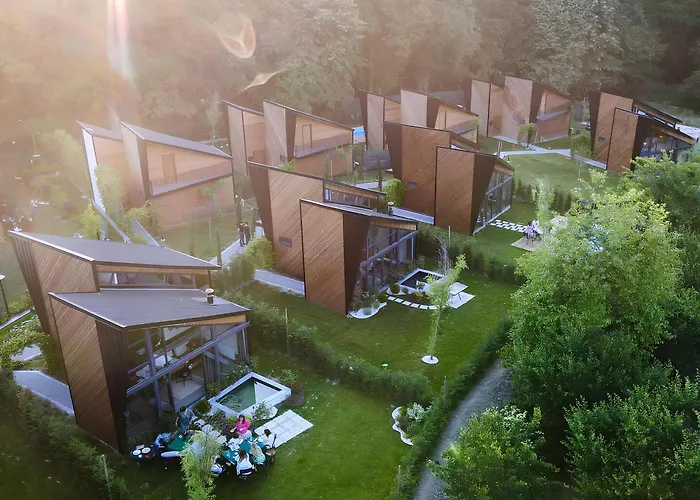 Backyard ספנג'ה